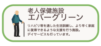 エバーグリーン